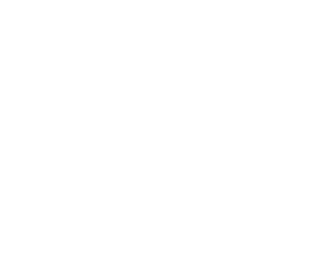 feature-icon